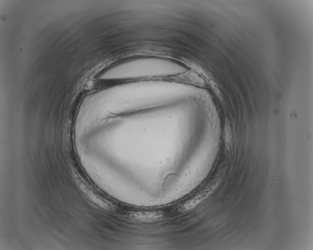 X0000085070445200704021415