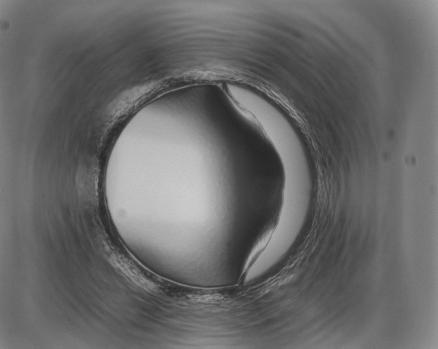 X0000085070446200704021415