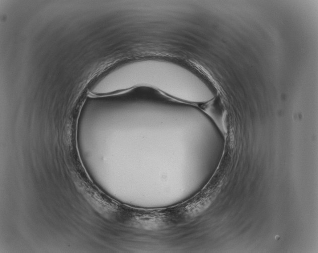 X0000085070447200704021415