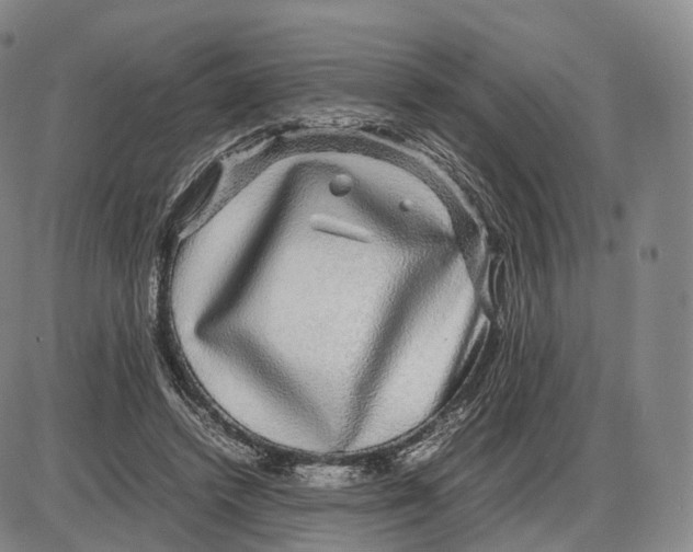 X0000085070448200704021415