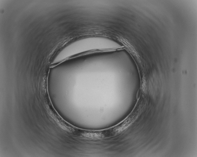 X0000085070449200704021415