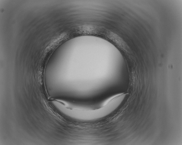 X0000085070450200704021415