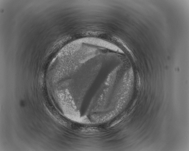 X0000085070451200704021415