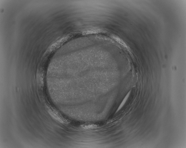 X0000085070452200704021415