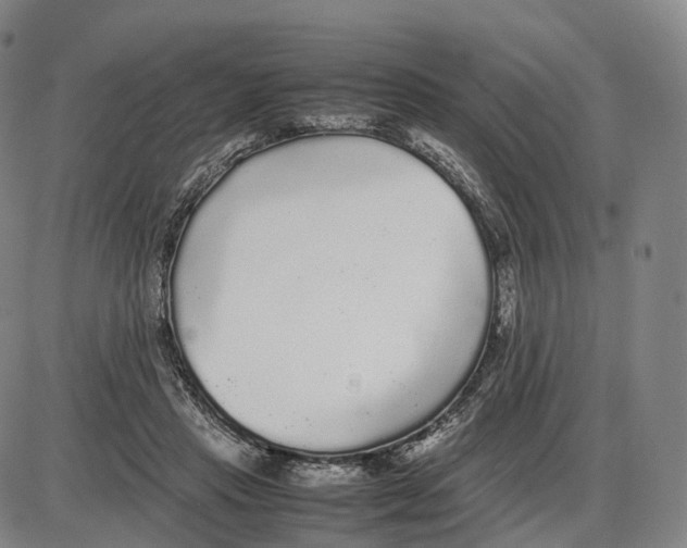 X0000085070453200704021415