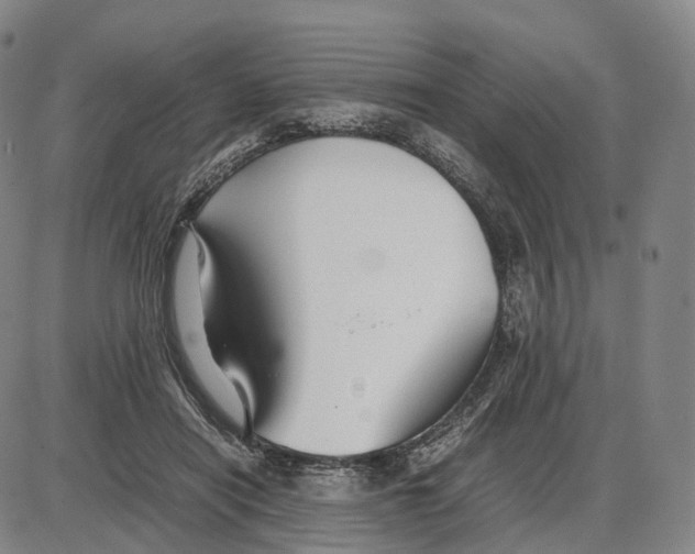 X0000085070454200704021415