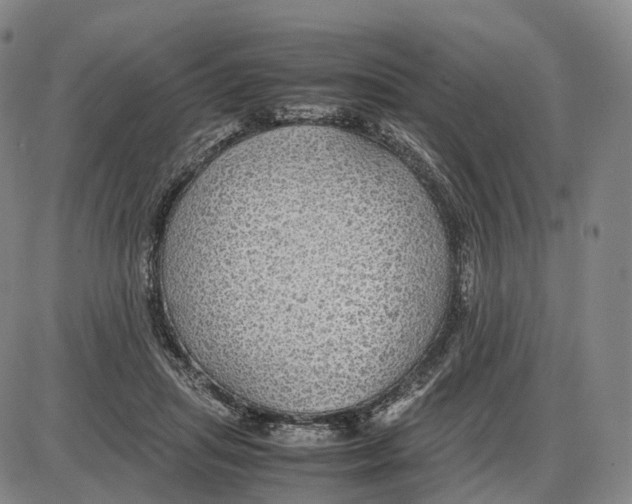 X0000085070455200704021415