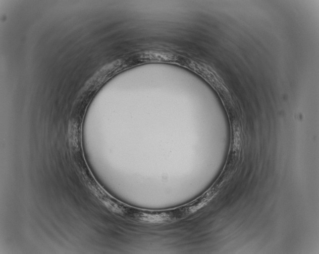 X0000085070457200704021415