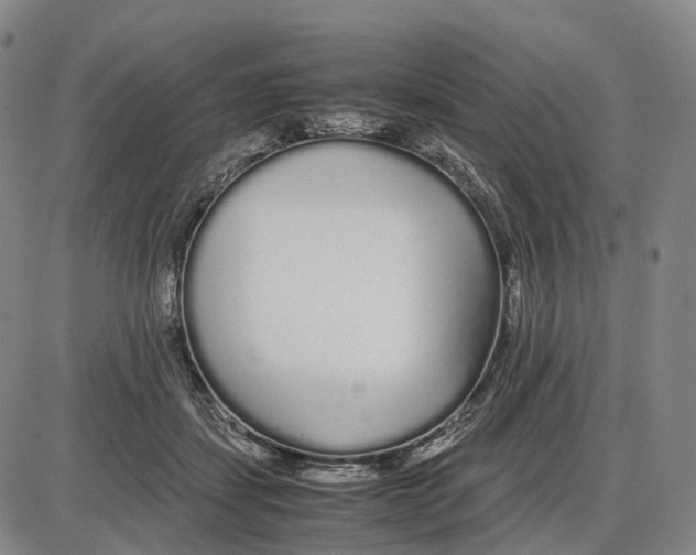 X0000085070459200704021415