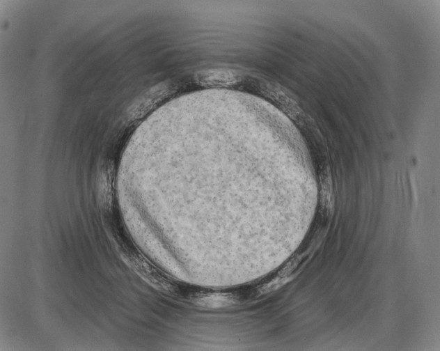 X0000085070460200704021415