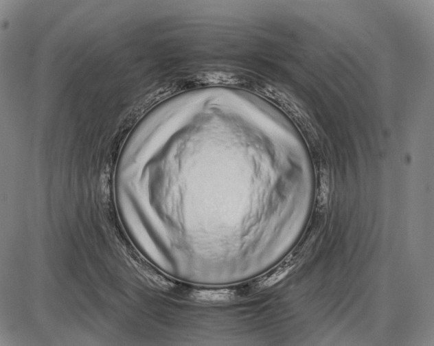 X0000085070461200704021415