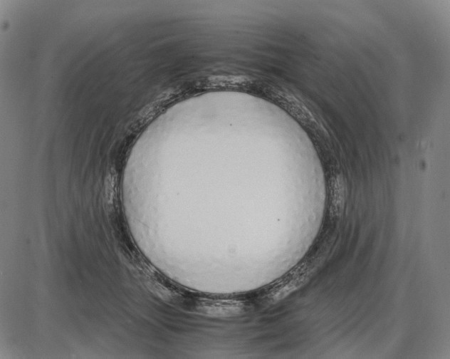 X0000085070463200704021415