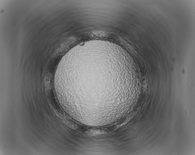 X0000085070464200704021415