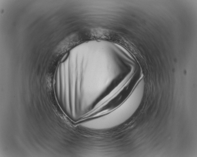 X0000085070466200704021415