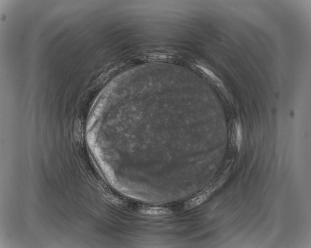 X0000085070467200704021415