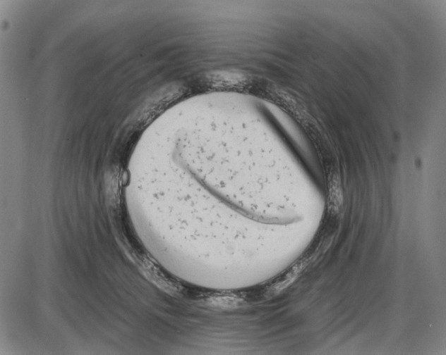 X0000085070468200704021415