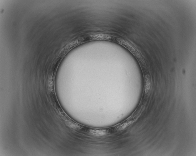 X0000085070469200704021415