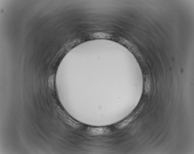 X0000085070473200704021415