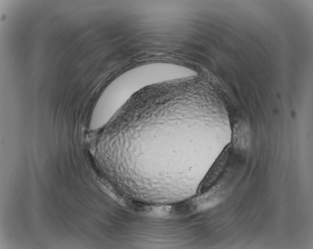 X0000085070474200704021415