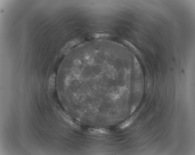 X0000085070475200704021415