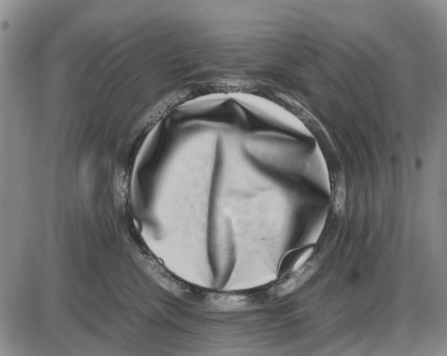 X0000085070476200704021415