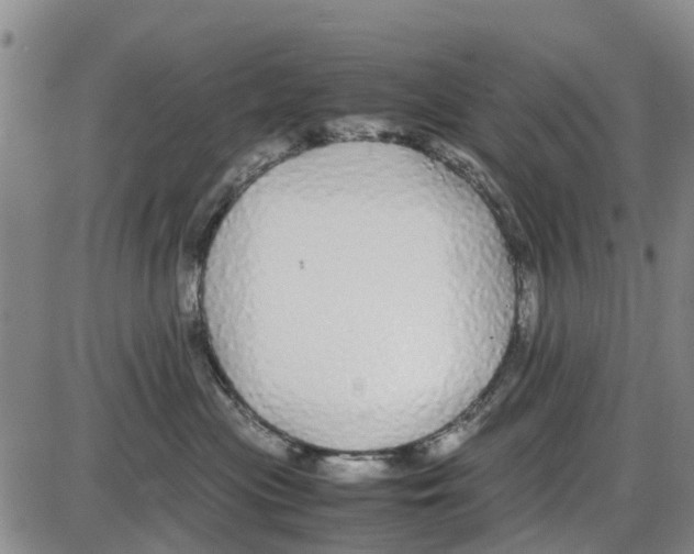 X0000085070477200704021415