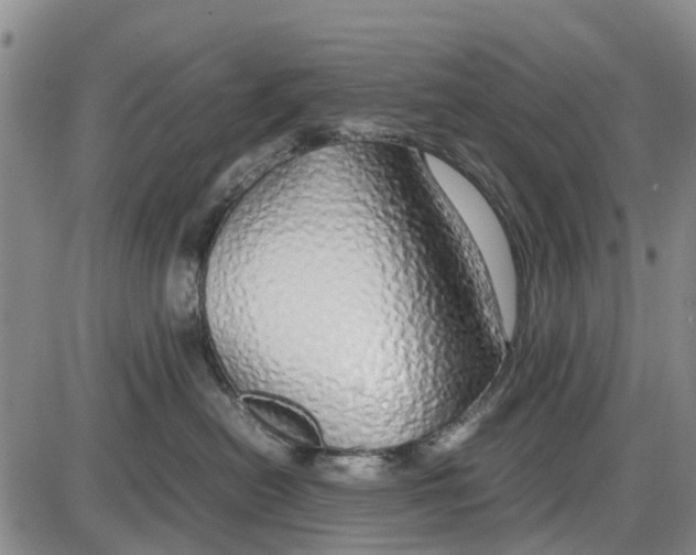 X0000085070478200704021415