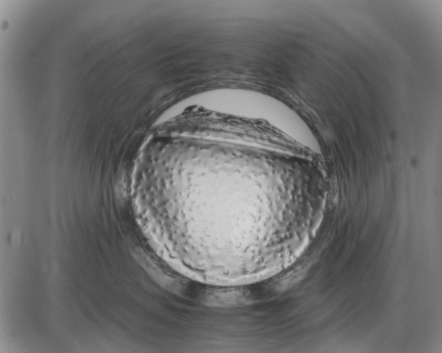 X0000085070479200704021416