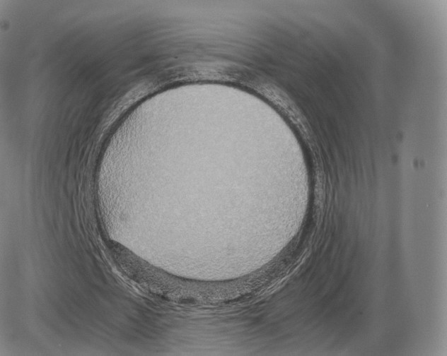 X0000085070481200704021415