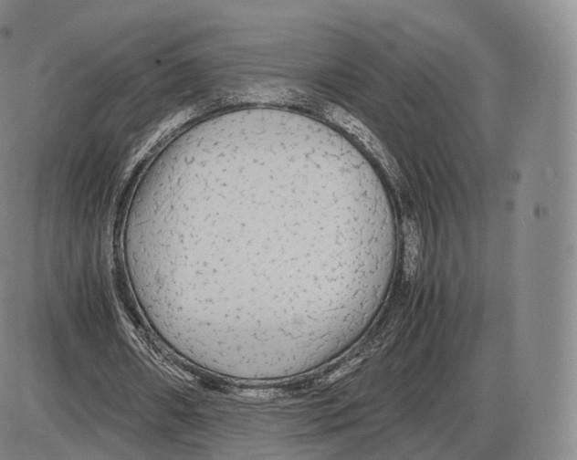 X0000085070482200704021415