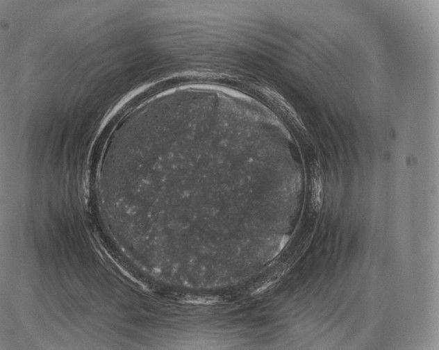 X0000085070484200704021415