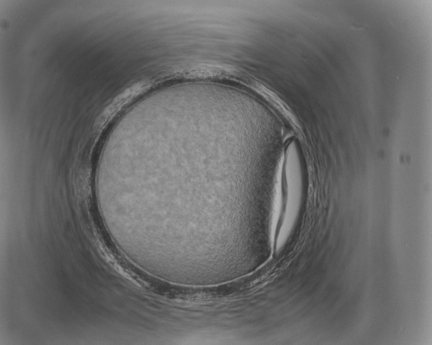 X0000085070485200704021415