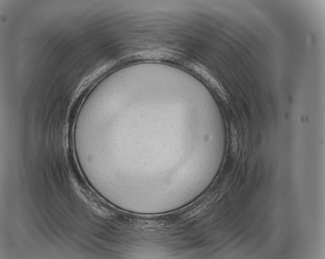 X0000085070486200704021415