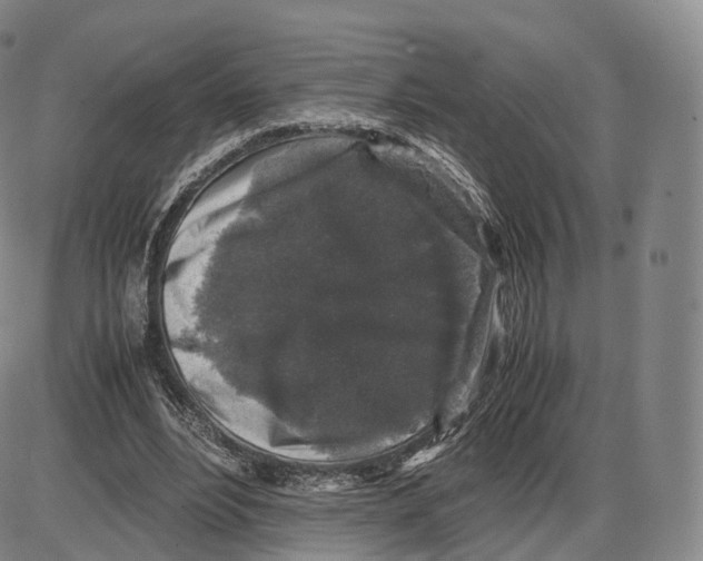 X0000085070488200704021415