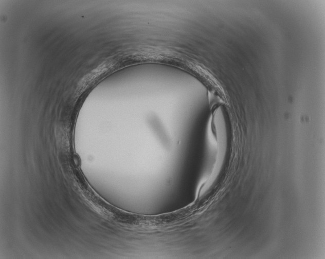 X0000085070489200704021415