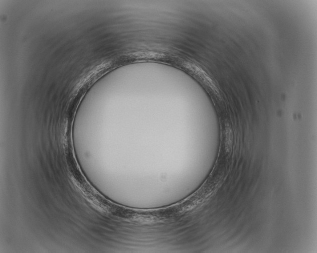 X0000085070490200704021415