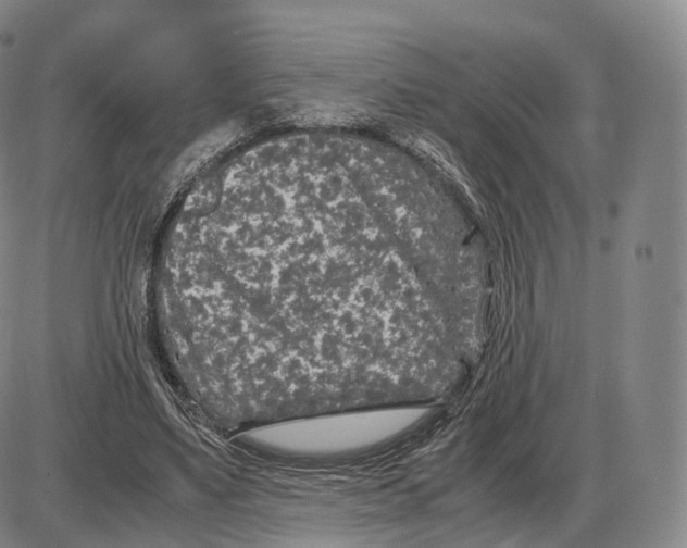 X0000085070491200704021415