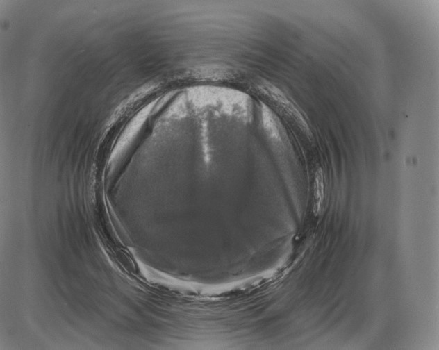 X0000085070492200704021415