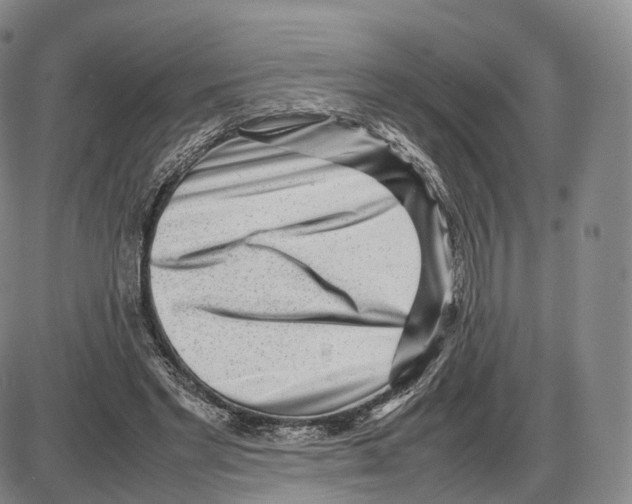 X0000085070493200704021415