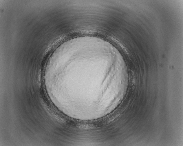 X0000085070494200704021414