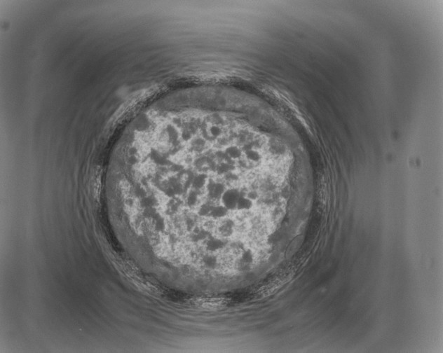 X0000085070495200704021414