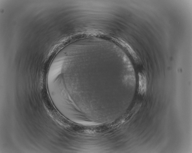 X0000085070496200704021414