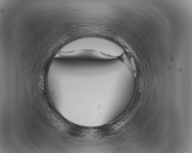 X0000085070497200704021414