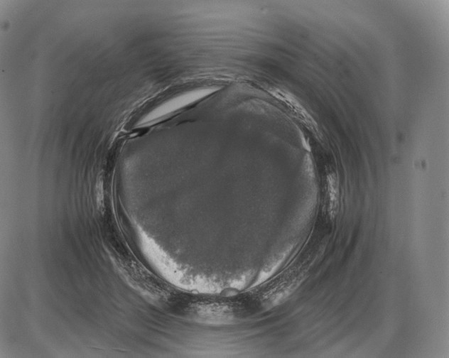 X0000085070500200704021414