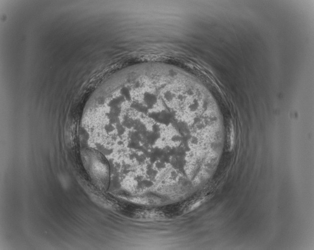 X0000085070503200704021414