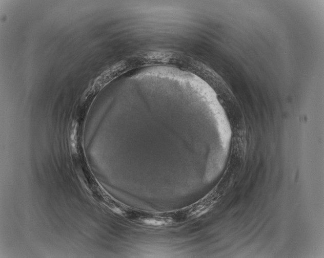 X0000085070504200704021414