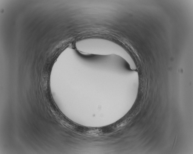 X0000085070505200704021414