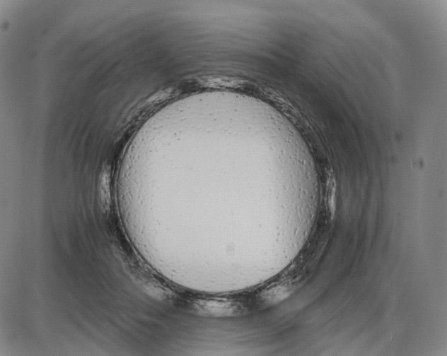 X0000085070506200704021414