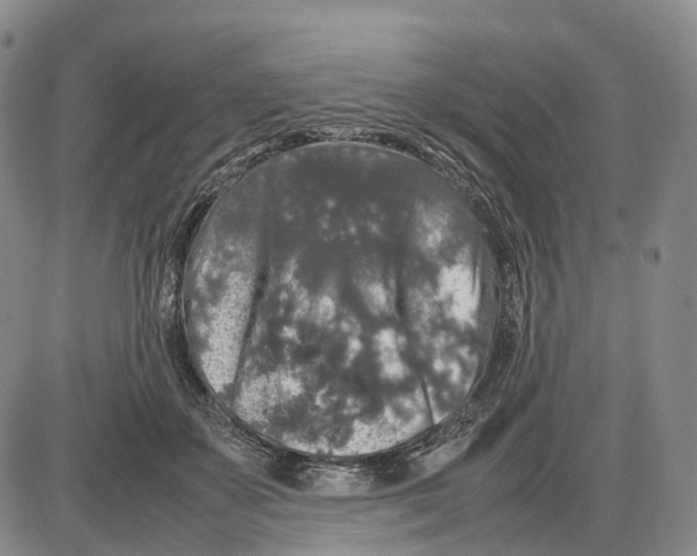 X0000085070507200704021414