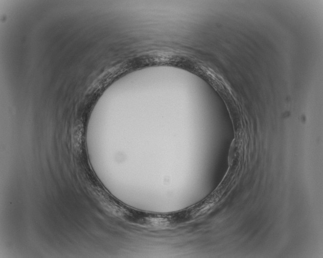 X0000085070509200704021414